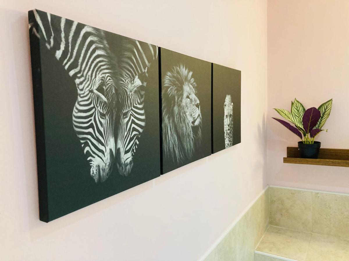 Jungle Escape, City Apartment With Parking & Terrace Chester Exteriör bild